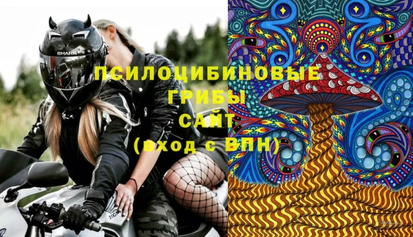 ГАЛЛЮЦИНОГЕННЫЕ ГРИБЫ Братск