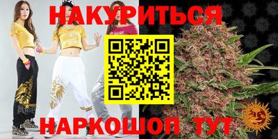 крисы Аргун