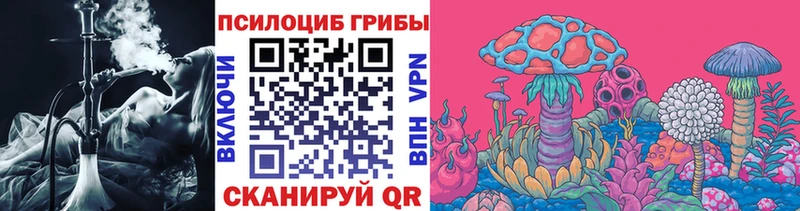 сколько стоит Бугуруслан OMG онион Галлюциногенные грибы Magic Shrooms