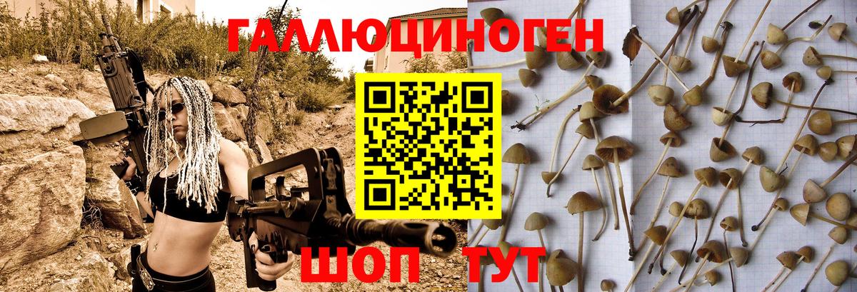 Псилоцибиновые грибы GOLDEN TEACHER  Вход с VPN  Бугуруслан  Псилоцибиновые грибы мухоморы 