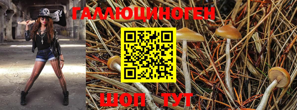 где продают наркотики  Бугуруслан  Псилоцибиновые грибы мухоморы 