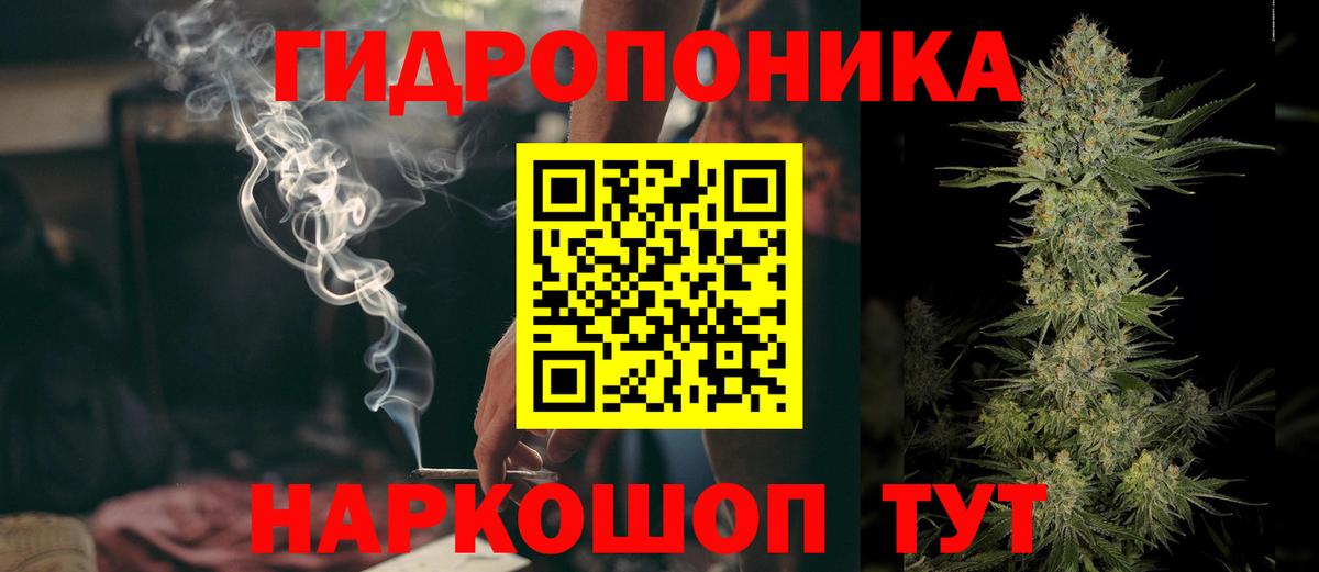 Шишки марихуана сатива Бугуруслан