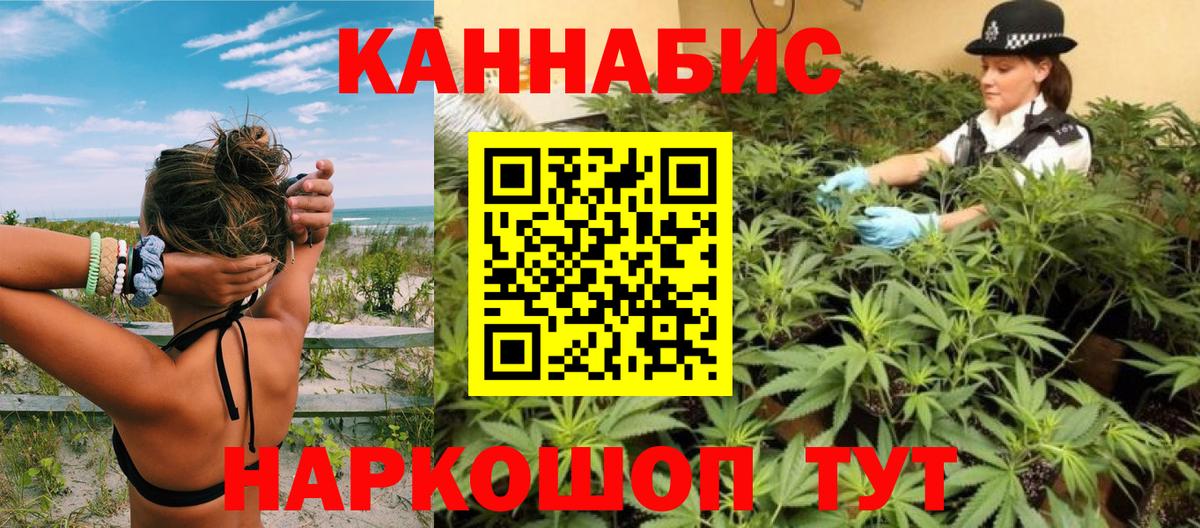 Шишки марихуана планчик  Каннабис индика  Вход с VPN  Конопля план  Бугуруслан 